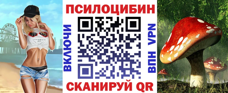 купить закладку  Нижнеудинск  Галлюциногенные грибы прущие грибы 